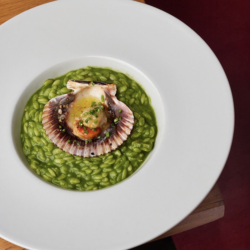 FALSO_RISSOTTO_VERDE_ESPINACAS_LANGOSTINO_Y_VIEIRAS